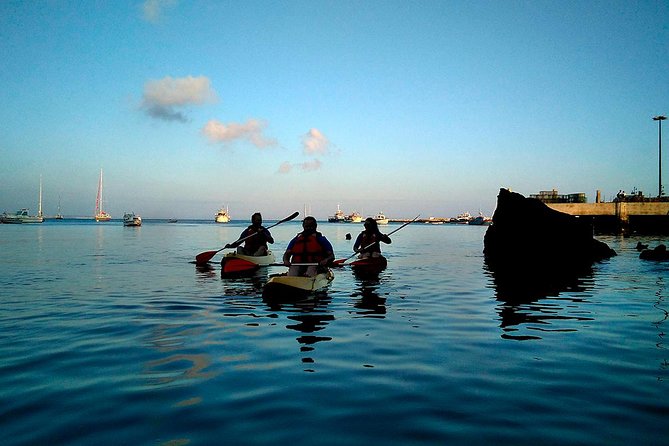Private Sea Kayaking in Cascais Bay, Lisbon: Glide & Explore! - Timing and Practicalities