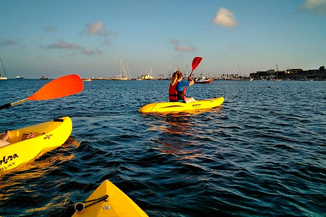 Private Sea Kayaking in Cascais Bay, Lisbon: Glide & Explore! - What Sets This Tour Apart from Others