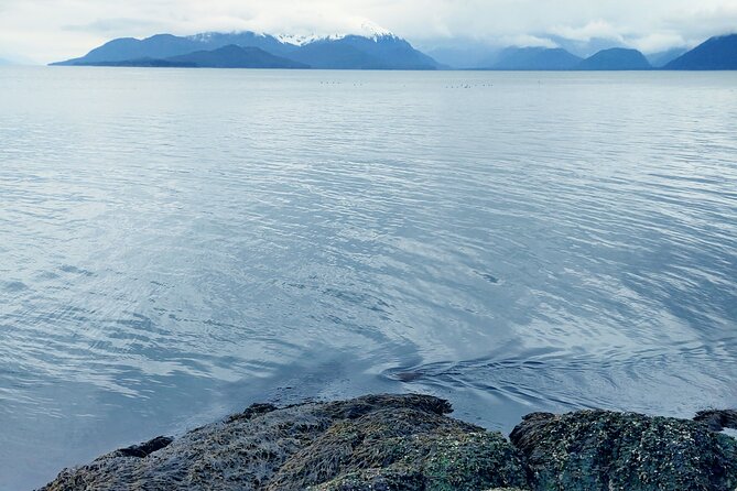 Private Seaplane & Wilderness Hiking Tour to Tongass NF - Practical Details: Meeting Points and Accessibility
