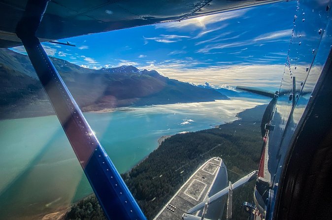 Private Seaplane & Wilderness Hiking Tour to Tongass NF - What Sets This Tour Apart: An Intimate Wilderness Journey