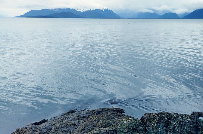 Private Seaplane & Wilderness Hiking Tour to Tongass NF - Limitations to Consider for Your Planning