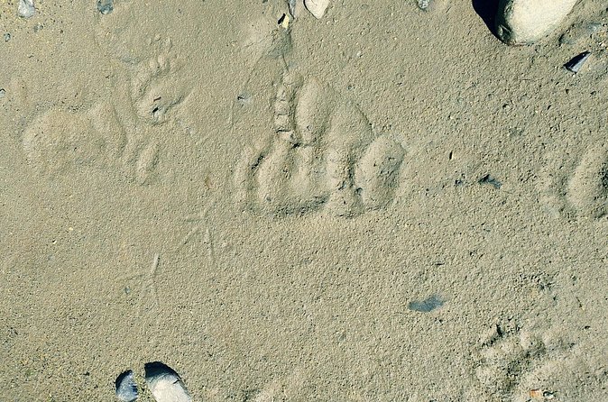 Private Seaplane & Wilderness Hiking Tour to Tongass NF - Why This Tour Is Ideal for Adventure Seekers