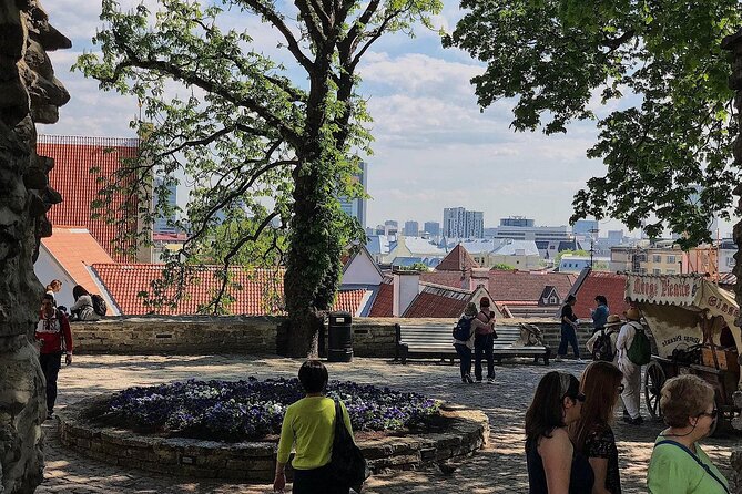 Private Self-Guided Audio Walking Tour in Tallinn Old Town - White Bread Passage and Hidden Alleyways