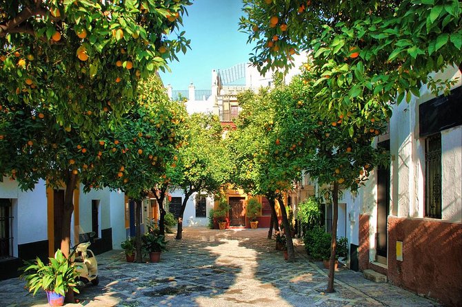 Private Sevilla Tour for families with children and teens... - A Personalized Experience with Expert Guides