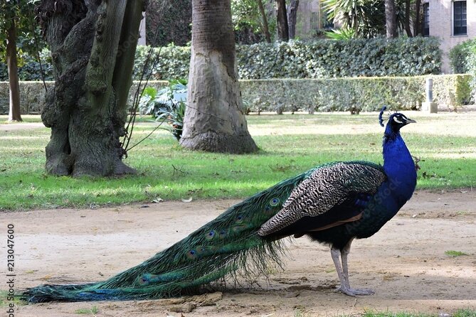 Private Sevilla Tour for families with children and teens... - Practical Details: Meeting Point and Booking