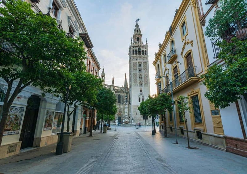 Private Seville: exclusive tour of Santa Cruz and the historic center - Key Points