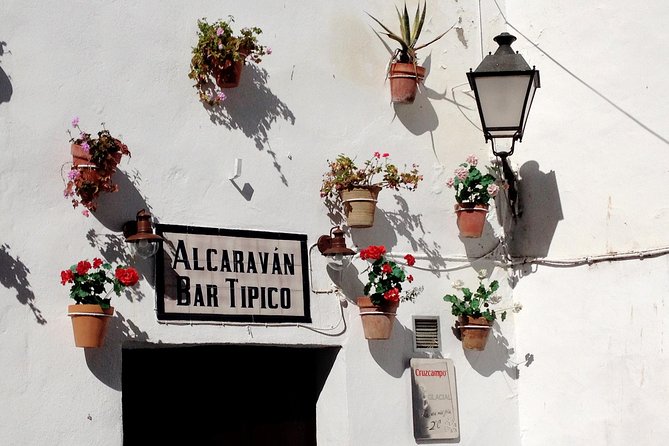 Private Seville Transfer to Malaga Including Visit to Ronda - Exploring Ronda: The Cliffside Town