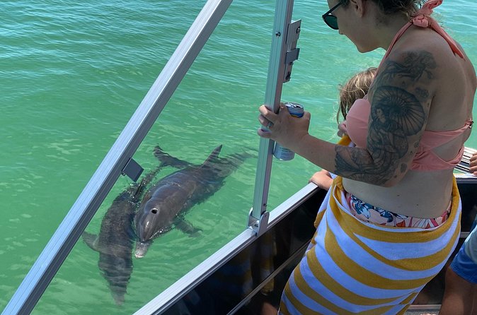 Private Shell Key Island Adventure Dolphins And Shells - Practical Details: What to Bring and How to Prepare