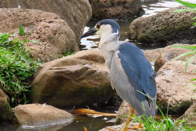 Private Shore Excursion: Best Highlights of Maui - Flexibility and Personalization in the Itinerary