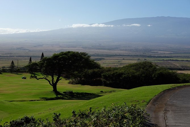 Private Shore Excursion: Best Highlights of Maui - Accessibility and Practical Details