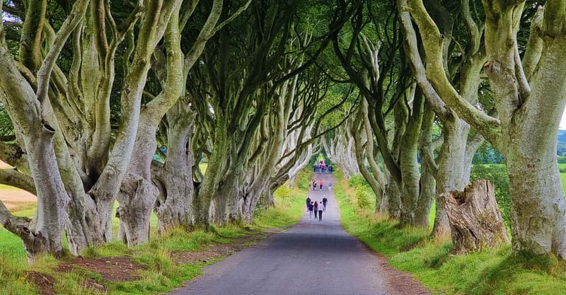 Private Shore Excursion From Belfast Cruise Terminal - Explore the Best of Northern Ireland with a Private Shore Excursion from Belfast