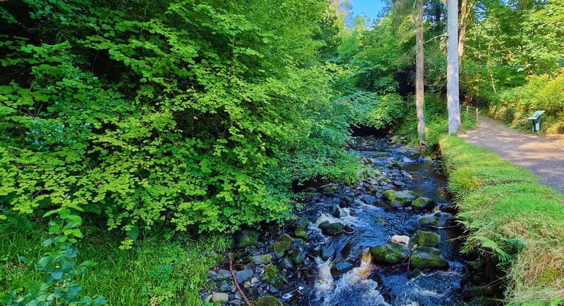 Private Shore Excursion From Belfast Cruise Terminal - Who Will Appreciate This Tour Most?