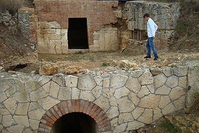 Private Shore Excursion from Civitavecchia Port to Etruscan Countryside - Key Points