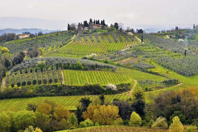 Private Shore Excursion from Livorno Port: Tuscany Highlights - Key Points