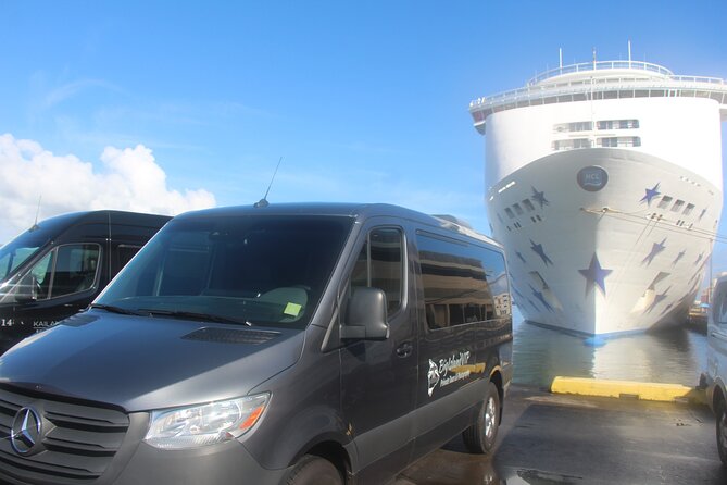 Private Shore Excursion Hilo Volcanoes National Park up to 10 PPL - From the Big Island’s Best Viewpoints to Hidden Gems