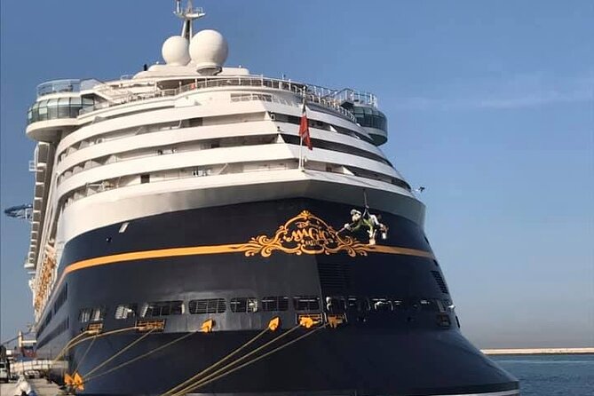 Private Shore Excursion Livorno Port "Discovery Pisa & Florence" - Luxury Transportation in a Mercedes Van