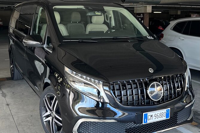 Private Shore Excursion Livorno Port "Discovery Pisa & Florence" - Experienced, Friendly Drivers and Personal Service