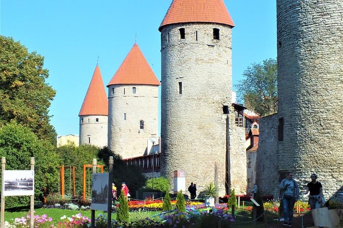 Private Shore Excursion: Tallinn Old Town Walking Tour with Round-Trip Transfer - Key Points
