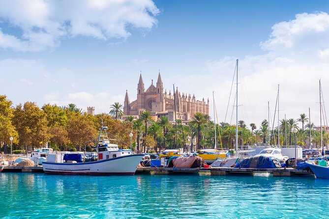 Private Shore Excursion to Valldemossa and Palma de Mallorca - Discover Mallorca’s Coastal Villages and Historic City in Comfort