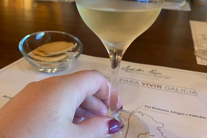 Private Shore Tour Galicia South Atlantic Coast, Portugal &Wine - Panoramic Views at A Guarda and the Portugal Border