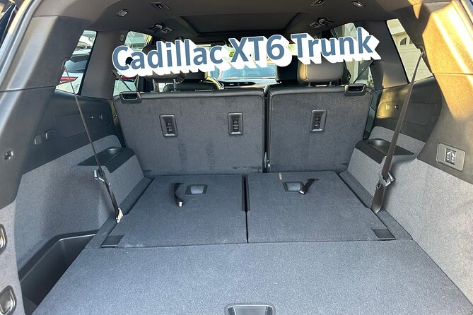 Private Shuttle from Lake Buena Vista to Port Canaveral - Why Choose This Private Shuttle for Your Port Canaveral Trip