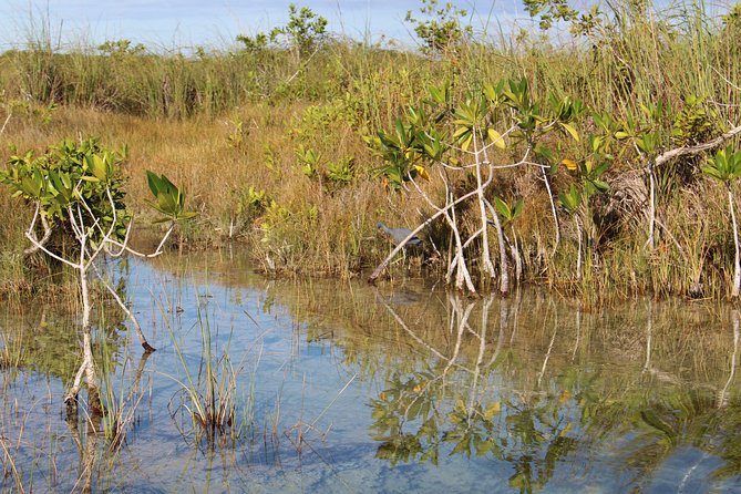 Private Sian Kaan Muyil Lazy River Tour - Scenic Boat Ride Across Lagoons