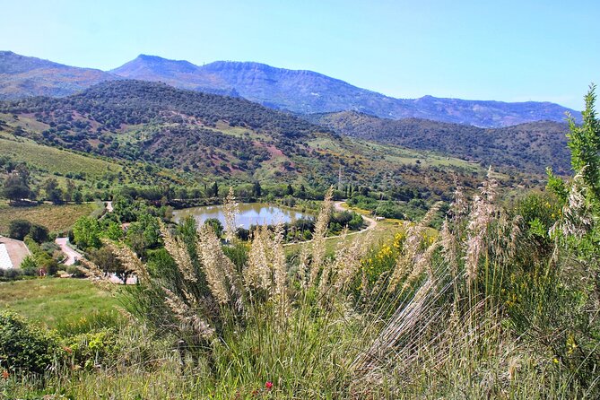 Private Sicilian Winery Tour with Gourmet Lunch Country Escape - What Sets This Tour Apart