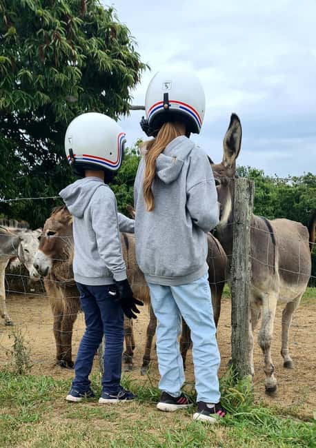 Private side-car ride with drivers in the Basque Country - Ainhoa and the Little Train to La Rhune