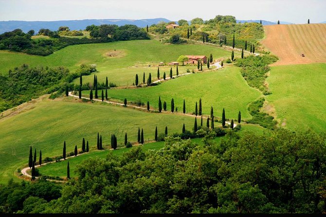 Private Siena and San Gimignano Tour with Wine Tasting From Rome - Who Will Most Appreciate This Tour?