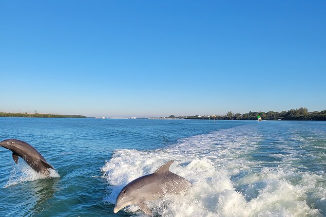 Private Siesta Funship Adventure/Dolphin Cruise Sandbar Stops - Encountering Sarasota’s Marine Life: Dolphins and Manatees
