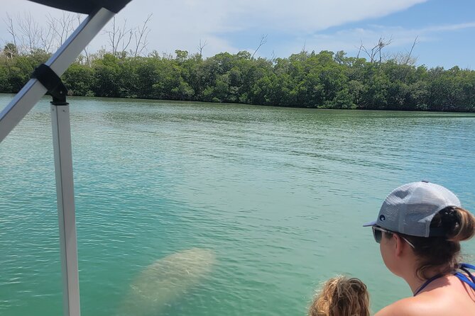Private Siesta Funship Adventure/Dolphin Cruise Sandbar Stops - Addressing Past Negative Experiences and Expectations