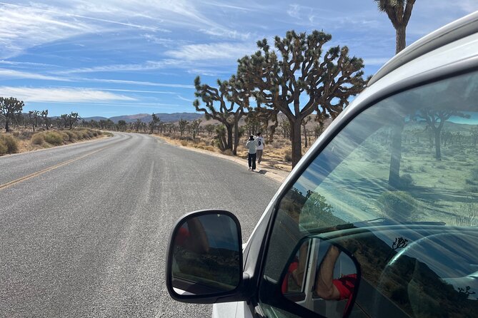 Private Sightseeing Adventure Tour of Joshua Tree National Park - Key Points
