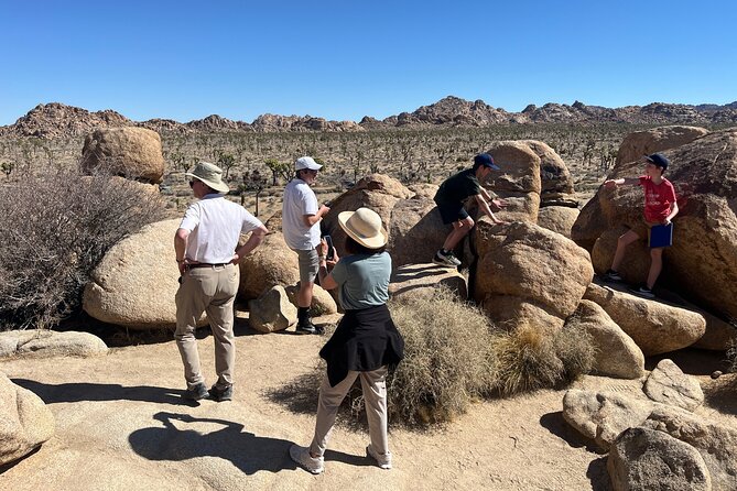 Private Sightseeing Adventure Tour of Joshua Tree National Park - The Starting Point and Logistics in Palm Springs