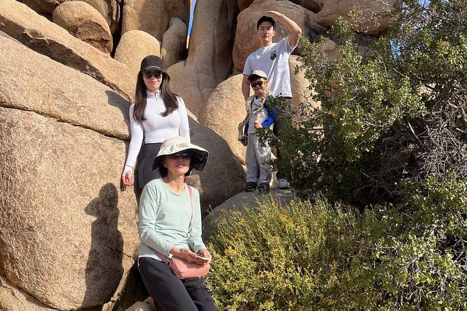 Private Sightseeing Adventure Tour of Joshua Tree National Park - Panoramic Views from Keys View