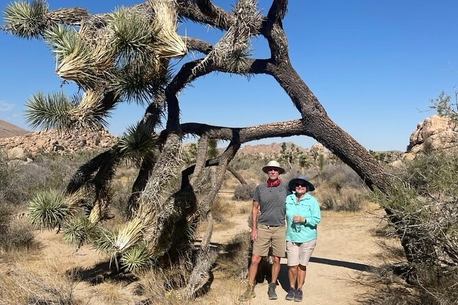 Private Sightseeing Adventure Tour of Joshua Tree National Park - Skull Rock: The Iconic Natural Landmark
