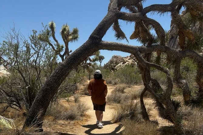 Private Sightseeing Adventure Tour of Joshua Tree National Park - Flexibility and Additional Stops