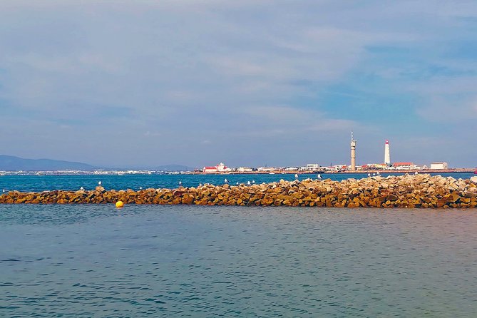 Private Sightseeing Boat Tour in Ria Formosa at Olhão - Logistics and Meeting Points