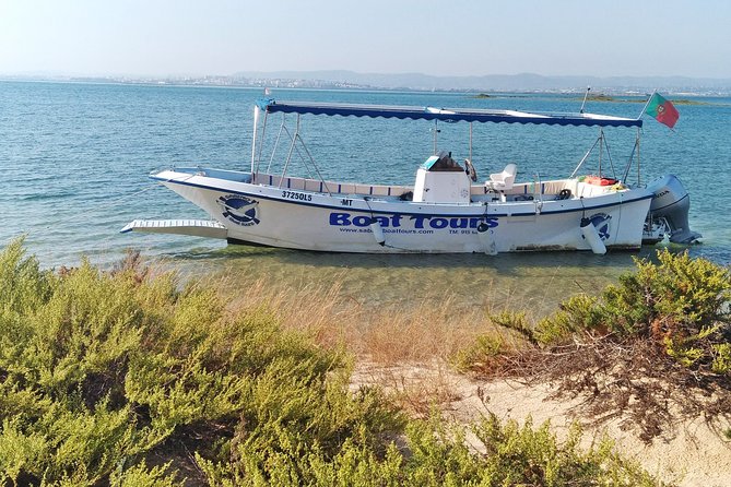 Private Sightseeing Boat Tour in Ria Formosa at Olhão - What the Reviews Say About This Tour