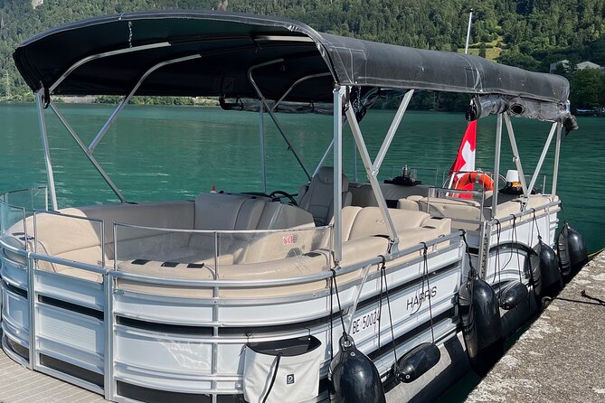 Private Sightseeing Boat Trip on Lake Thun, Interlaken - The Guide and Crew: Friendly and Professional Service
