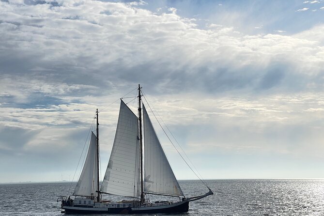 Private sightseeing in a Volvo XC 90 All inclusive museum/guiding - The Practicalities of This Private Tour