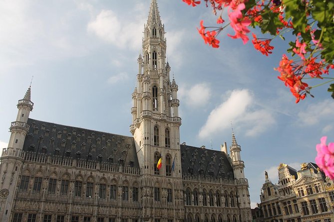 Private Sightseeing tour to Antwerp and Brussels from Amsterdam - Tour Reviews and Customer Satisfaction