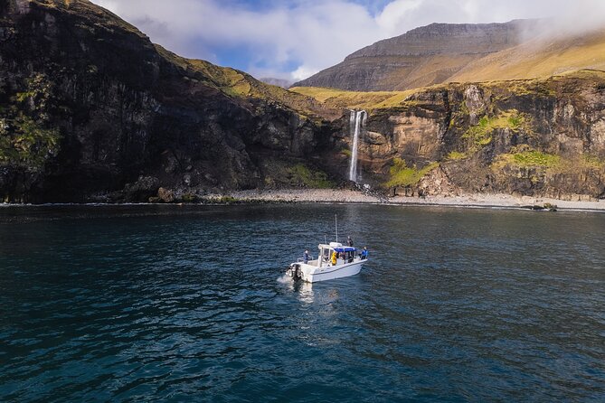 Private Sightseeing Tour with Local Skipper to Vágar Area - Practical Details and Logistics