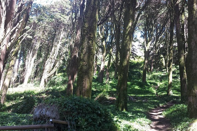 Private Sintra Day Trip from Lisbon with Wine Tasting and Monserrate Palace - Charm and Elegance in Cascais