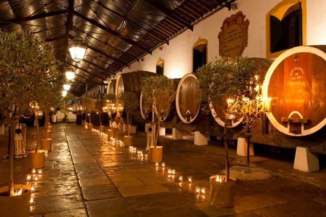 Private Sintra Tour from Lisbon with Cellar Visit and Wine Tasting - Coastal Scenery in Cascais and Estoril