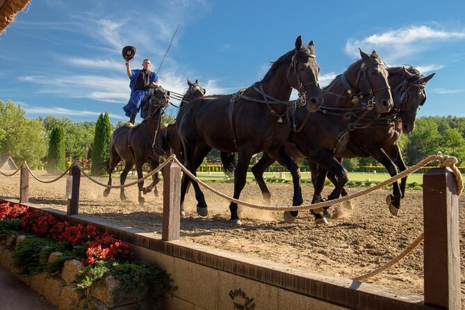 Private Sissi Palace tour in Godollo city with Puszta tour option - Accessibility and Practical Tips