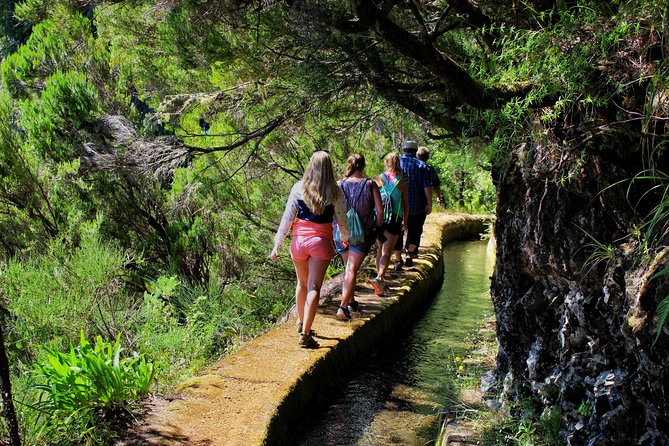 Private Small Group Full Day 4x4 Tour in Northwest Madeira - Fanal and the Enchanting Forests