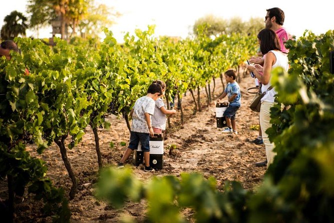 Private Small Group Full Day Tour- Montserrat and Cava Visit with Lunch and Transportation - Practical Details: Logistics and Pacing