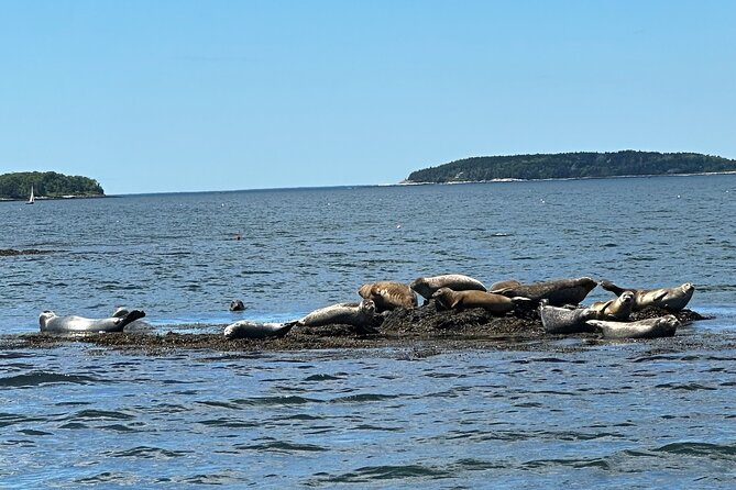 Private Small Group Wildlife Eco Tour in Kennebunkport - Key Points
