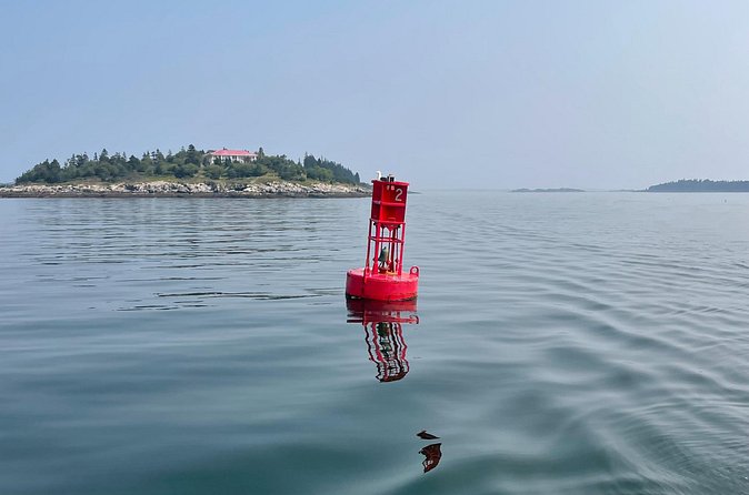 Private Small Group Wildlife Eco Tour in Kennebunkport - Scenic Stops Along the Maine Coast and Rivers