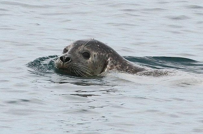 Private Small Group Wildlife Eco Tour in Kennebunkport - Value and Booking Considerations